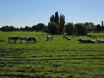 Rhodesgoed fiets- en wandel 2-daagse, Izegem (België)